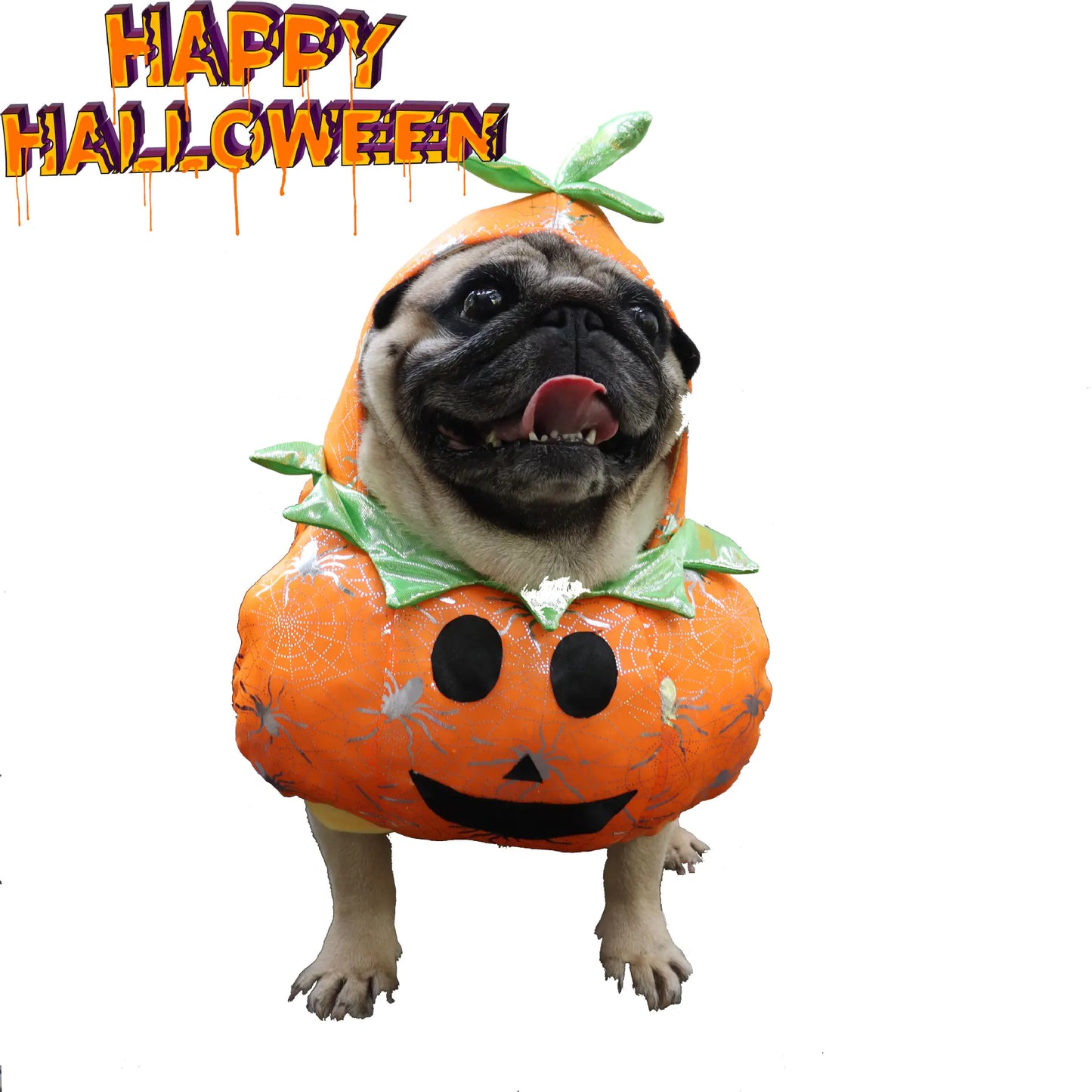 Halloween Costume for Dogs and Cats - Funny Pumpkin Outfit