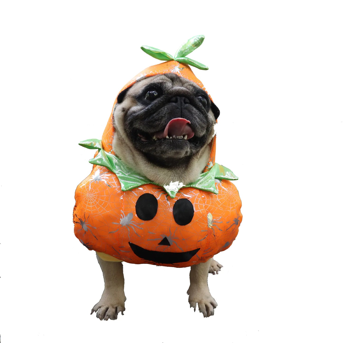 Halloween Costume for Dogs and Cats - Funny Pumpkin Outfit