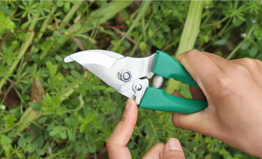10-Piece Gardening Tool Set with Shovel, Rake, Shears